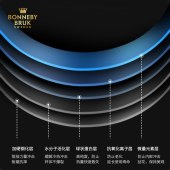 RONNEBY BRUK（瑞徕德）瑞典皇家品牌        破壁机文描